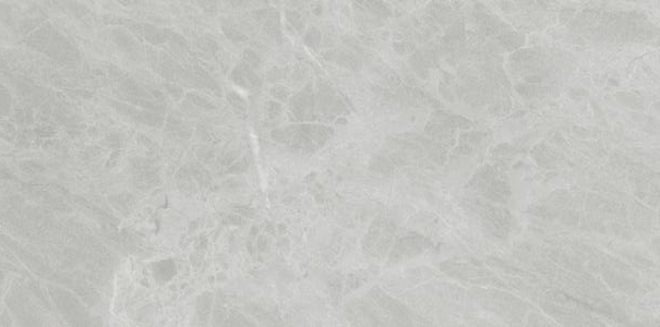 Керамогранит Ariostea Marmi Classici Gris de Savoie Luc Shiny 60x120 керамогранит ariostea marmi classici bianco carrara luc shiny 60x120