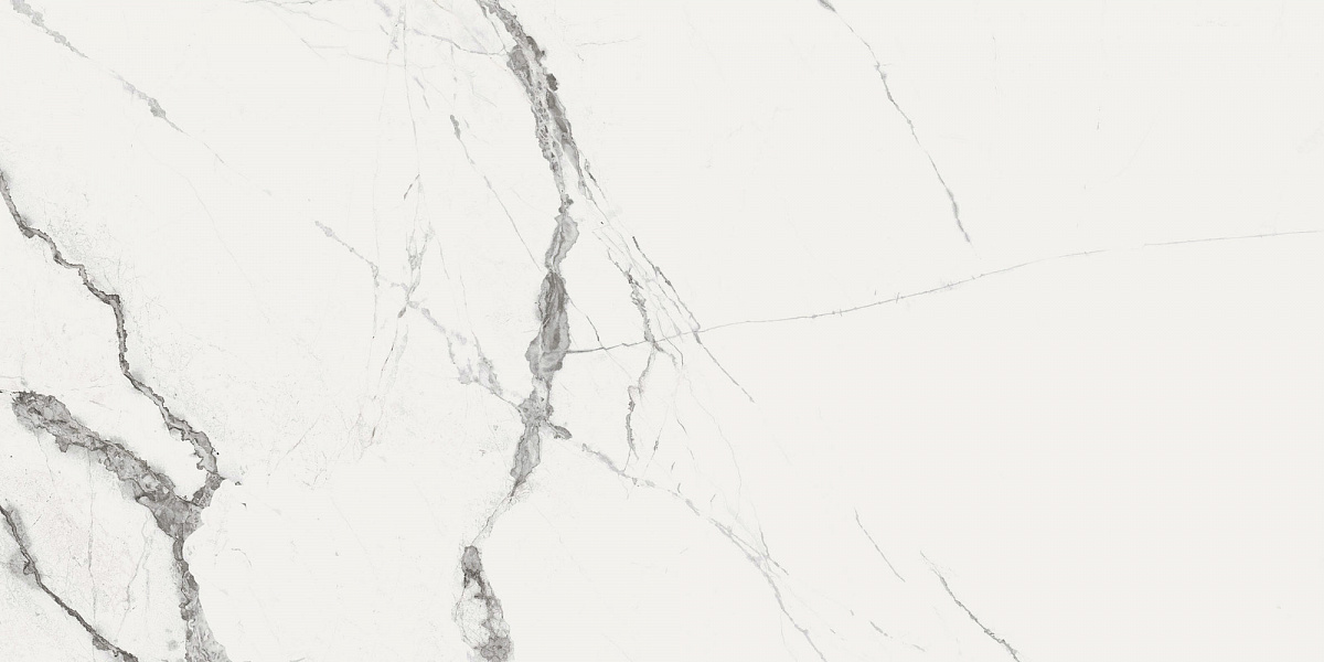Керамогранит Fanal Pulido Nplus New Ice White 60x120 керамогранит roca marble topazio r pulido 60x120