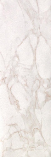 Настенная плитка FAP Ceramiche Roma Calacatta 25x75, цвет белый fLSN - фото 1