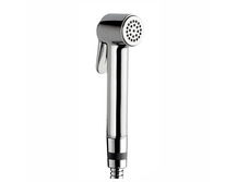 Гигиенический душ Bossini Paloma Brass B00470.030 хром