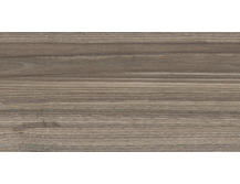 Настенная плитка New Trend Essense Brown WT9ESS08 24,9x50