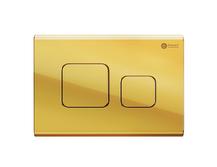 Кнопка для инсталляции Point Афина PN44041G золото