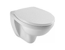 Подвесной унитаз Jacob Delafon Patio EDV102-00 без сиденья