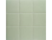 Керамогранит Mainzu Technical Soft Basil 20х20