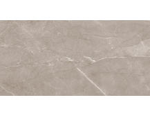 Настенная плитка Laparet Savoy 5-08-01-15-2460 коричневый 20х40