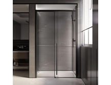 Душевая дверь Veconi Premium Trento 200х120 PTD30-B-120-01-C4 черный матовый