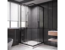 Душевая дверь Veconi Premium Trento 200х120 PTC20-B-120-01-C4 черный матовый