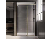 Душевая дверь Veconi Premium Trento 200х120 PTD40-G-120-01-C4 брашированное золото