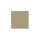 

Керамогранит TopCer Beige 01 - Loose 10х10, Бежевый